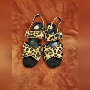 Sole Society Leopard Print Sandal with Gold Buckles